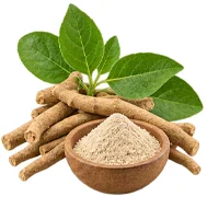 Composant ProstaVit — extrait d'ashwagandha