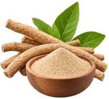 ProstaVit — Extrait d'ashwagandha