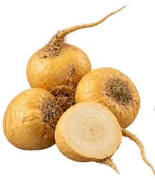 ProstaVit — Extrait de racine de maca péruvienne
